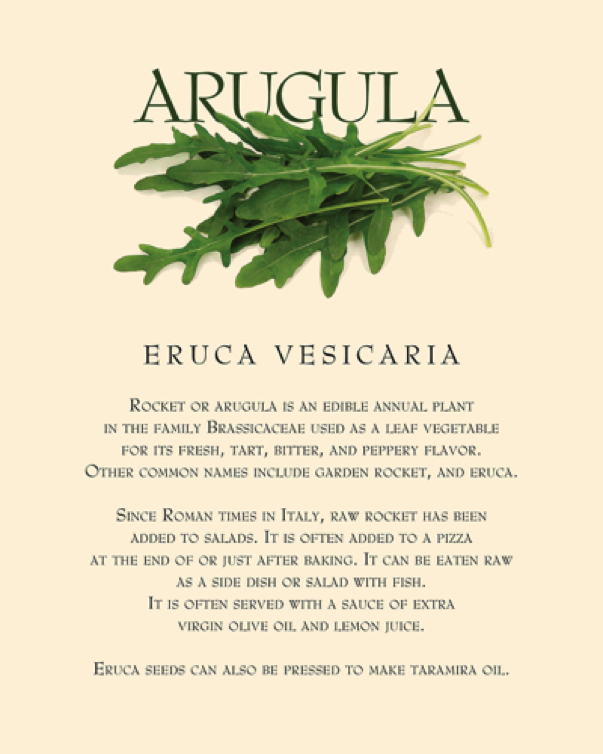 ARUGULA_sm.jpg